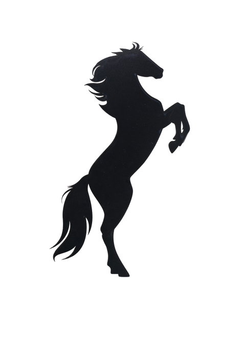 Wallity Wild Horse - Rojo